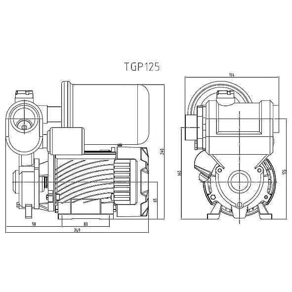 насос вихревой tgp125n, pumpman tgp125n