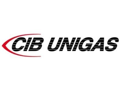 Голова сгорания CIB Unigas, 3060161