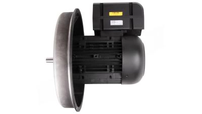 Электродвигатель Weishaupt WM-D112/140-2/3K5, 21520407030