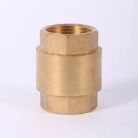 Клапан обратный Broen Ду 50R2 x R2 Ру16 Т=90 С (10405B)