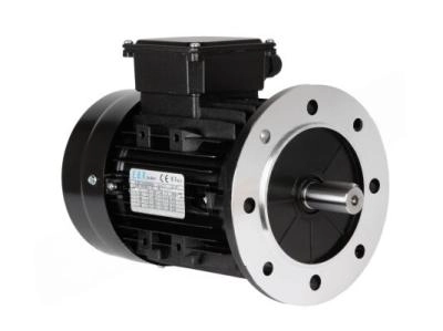 Электродвигатель Elco 6T3 90L2