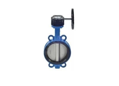 Затвор дисковый Water Technics BVGR WT Ду600 Pу10 с редуктором SKL100501600