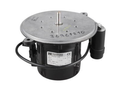 Электродвигатель Hanning OE6Z2B4-416