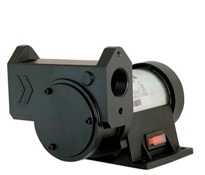 Самовсасывающий насос IRON-50 12V DC роторный для ДТ GESPASA 00001-CF00000