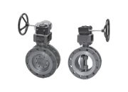 зпт 61.853.500 для теплоснабжения трехэксцентриковый 61.853.500.р.wcb/cf8