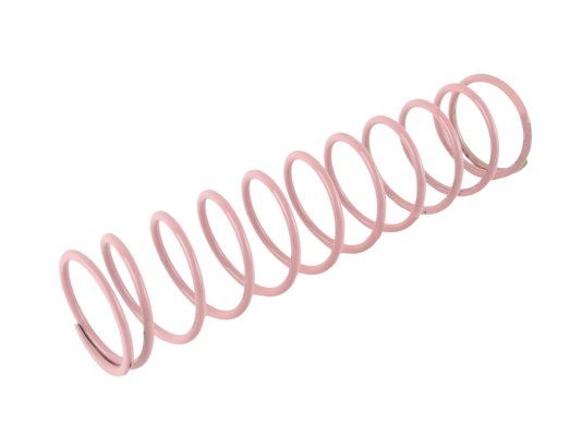 пружина регулятора давления dungs 229872