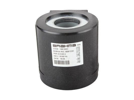 электромагнитная катушка brahma be8*c2c 18813031
