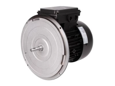 Электродвигатель Weishaupt WM-D90/90-2/1K0, 21510407310