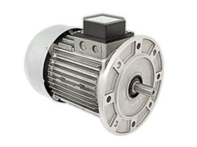 Электродвигатель Baltur, 15 кВт, 0005010247