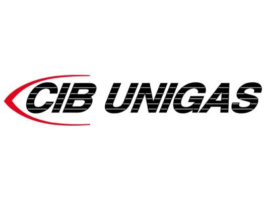 голова сгорания cib unigas 3060161