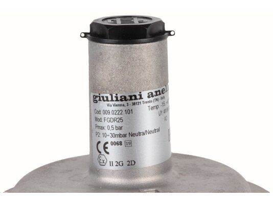 регулятор давления газа giuliani anello fgdr25 009.0222.101