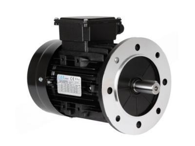 Электродвигатель Elco 6T3 90L2 65325414
