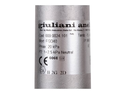 регулятор давления газа giuliani anello fgd40