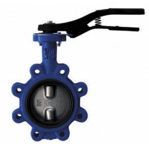 Затвор дисковый поворотный межфланцевый GIACOMINI R59FL PN16 DN300 R59FLY030