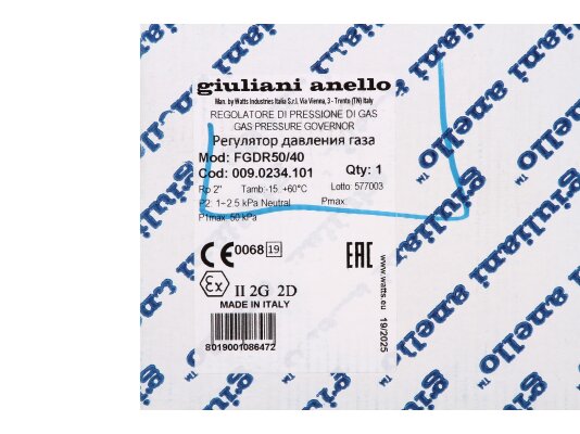 регулятор давления газа giuliani anello fgdr50/40