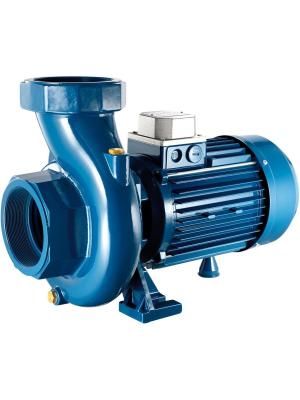 Центробежный насос CG-1600 230-400V AC для ДТ 22500000 GESPASA