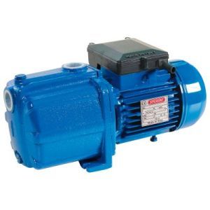 насос центробежный speroni rgm 4 0,75 квт 230 в 102204020
