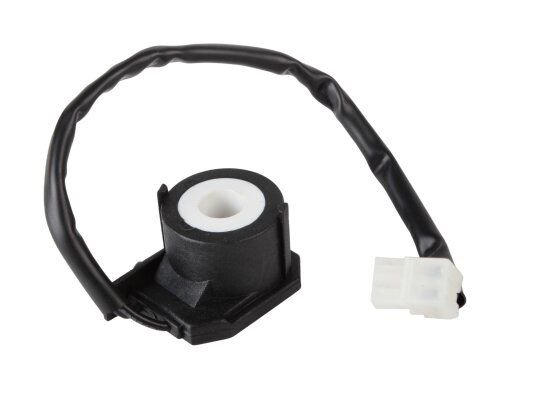 электромагнитная катушка riello 3007481