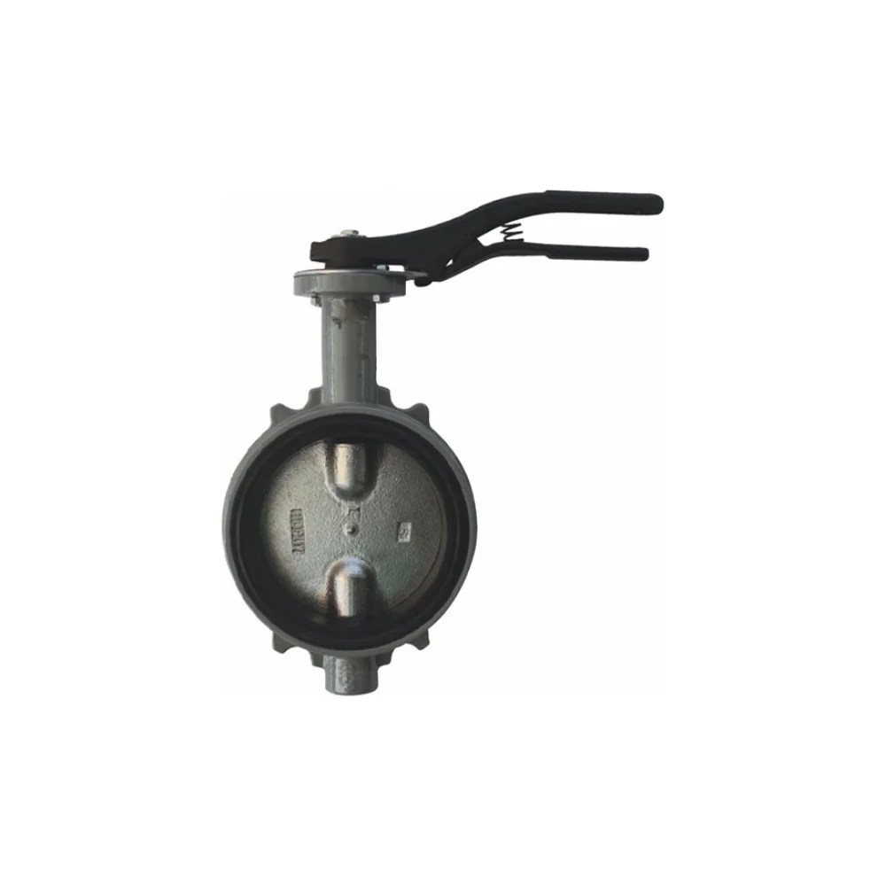 затвор дисковый поворотный giacomini ду 65 (r59wy006)