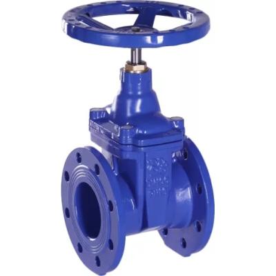 Задвижка с обрезиненным клином Rushwork DN250 PN10 чугун EPDM Tmax=110°C 100-0250-10