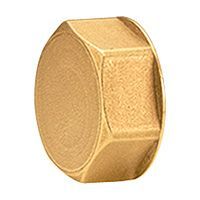 пробка для коллектора giacomini 24/19 r586 с внутренней резьбой r594y002