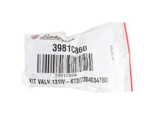 жидкотопливный электромагнитный клапан lamborghini ve 131iv 3981c860