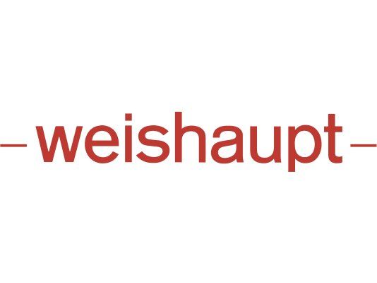 ик-датчик пламени weishaupt flw 10 ir v2.1