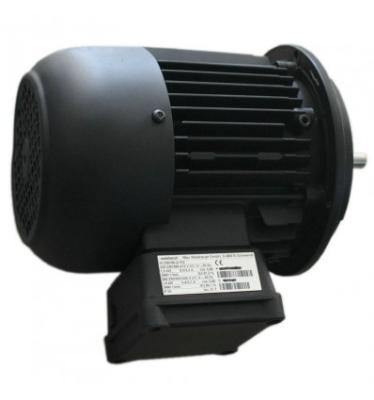 Электродвигатель Weishaupt WM-D90/90-2/1K0 21510407060
