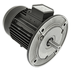 Электродвигатель Simel 5/3038 IE2 3981D040