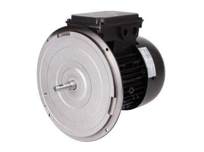 Электродвигатель Weishaupt WM-D90/90-2/1K0, 21510407310